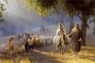 Image of Journey to Bethlehem